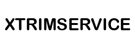 لوگو اکستریم سرویس